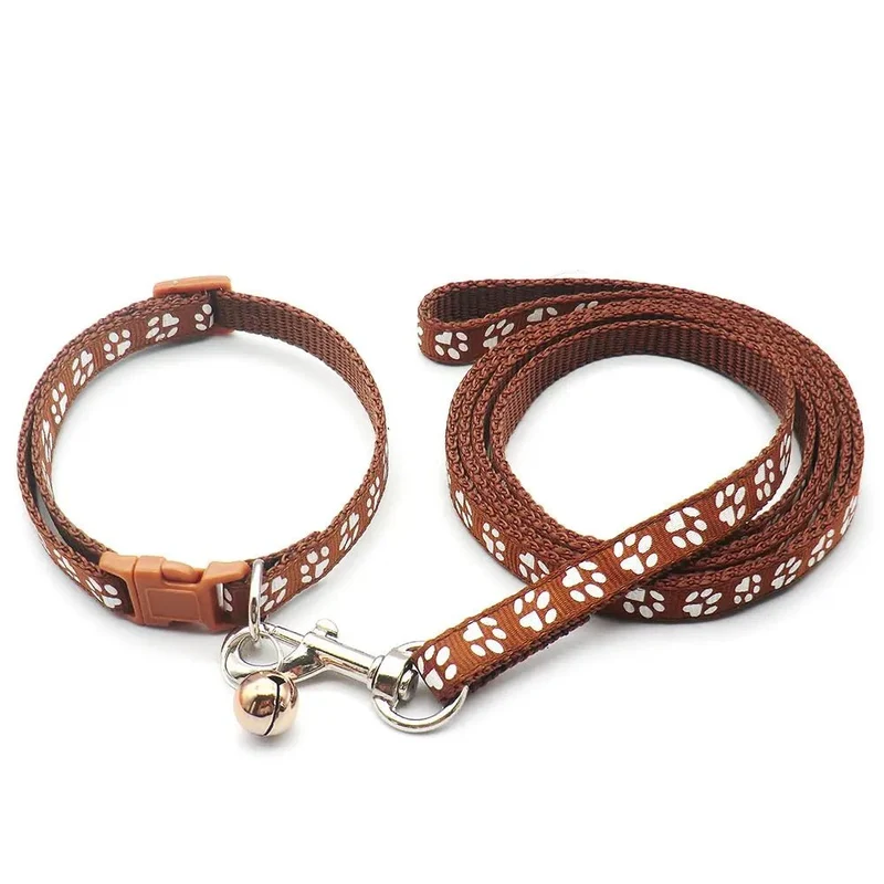 Laisse collier chiot