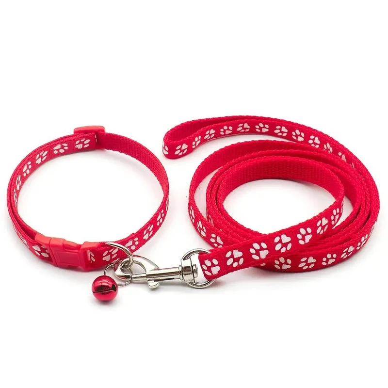 Laisse collier chiot