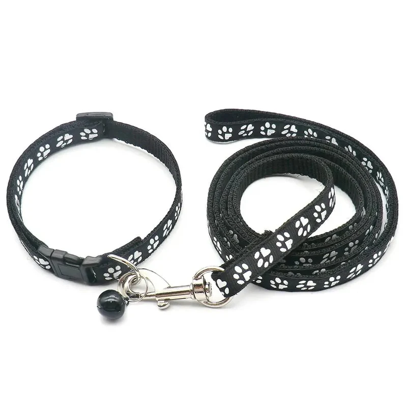 Laisse collier chiot