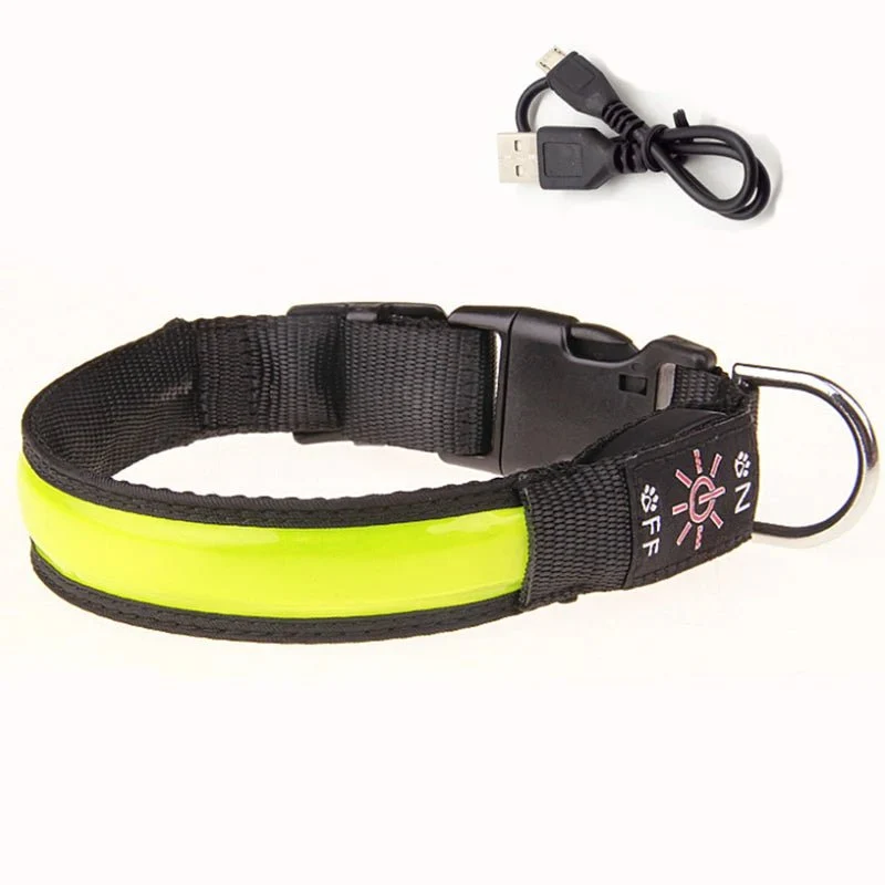 Collier lumineux pour petit chien