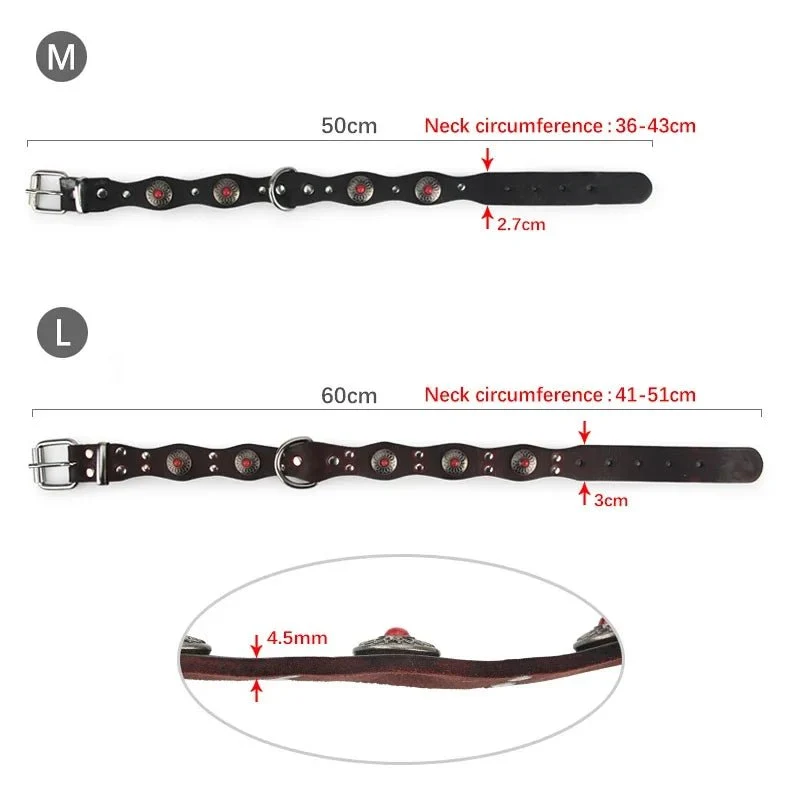 Collier pour chien rottweiler