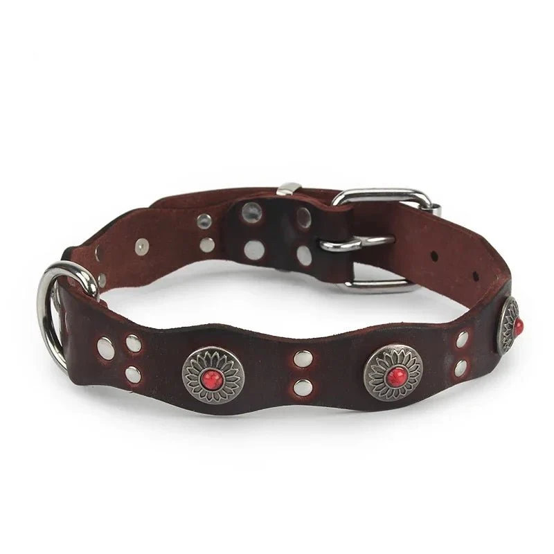 Collier pour chien rottweiler