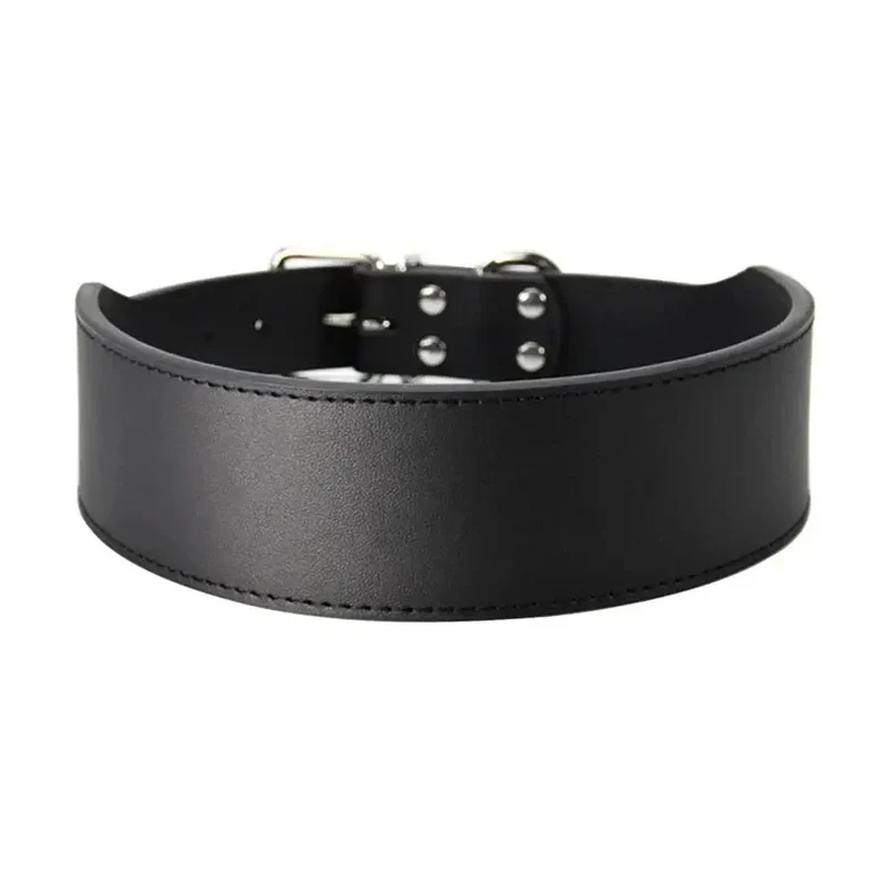 Collier chiot pas cher