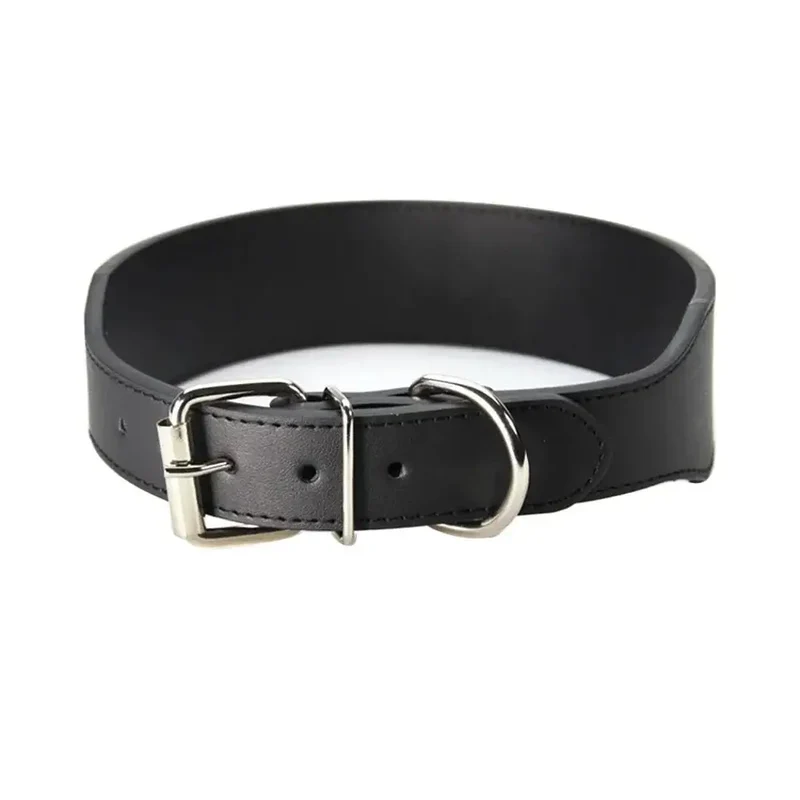 Collier chiot pas cher