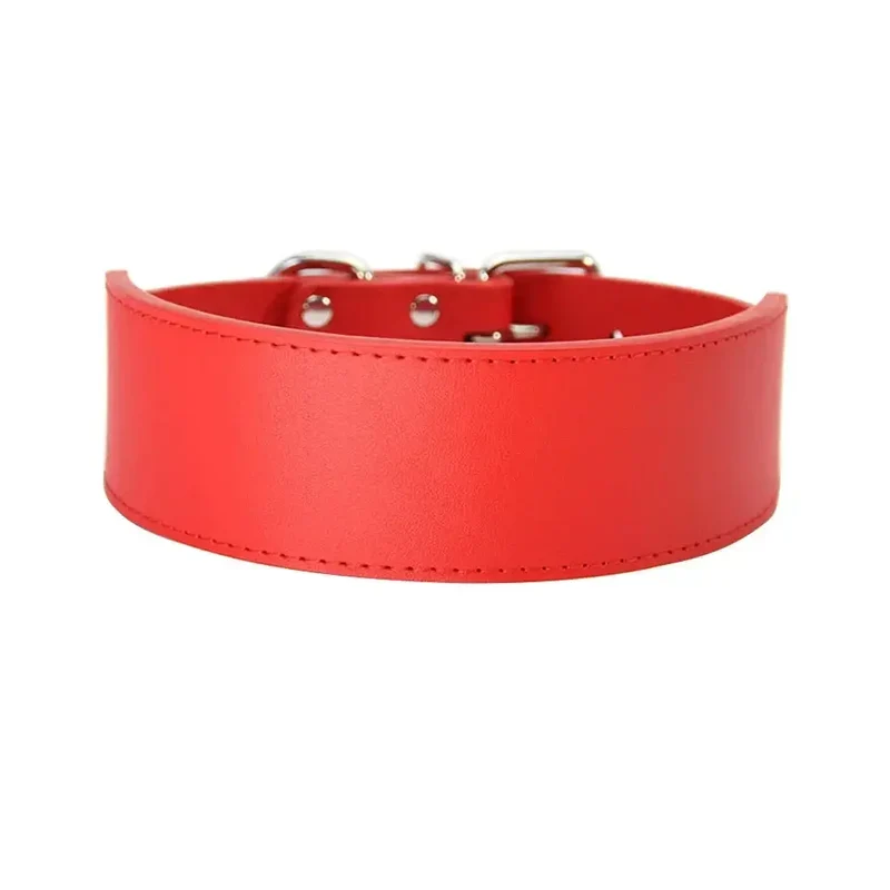 Collier chiot pas cher