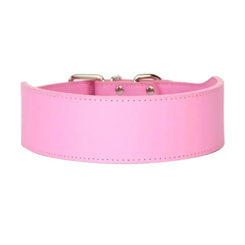 Collier chiot pas cher