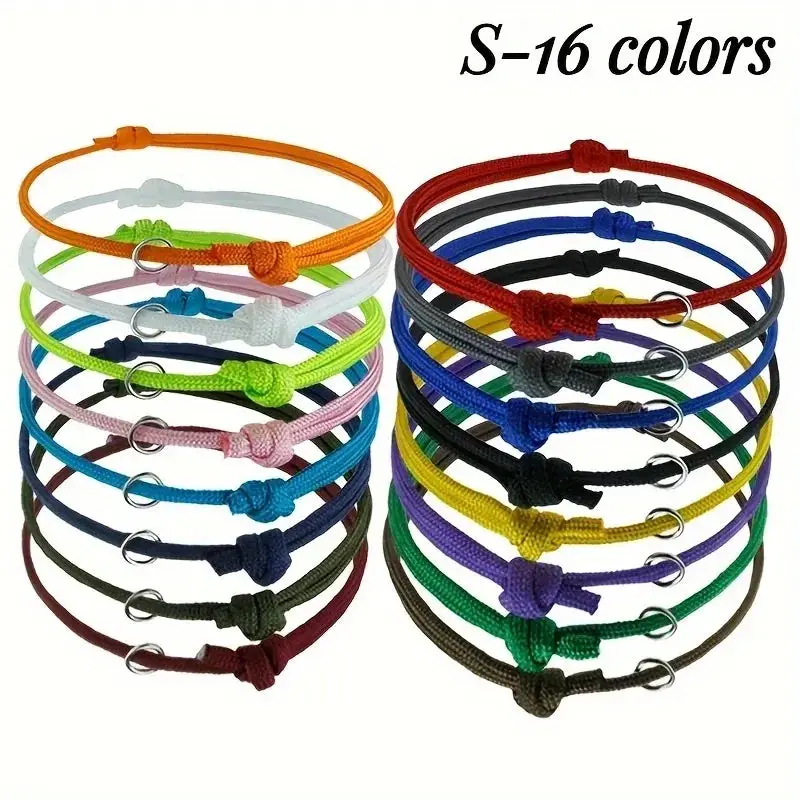 Collier chiot naissance