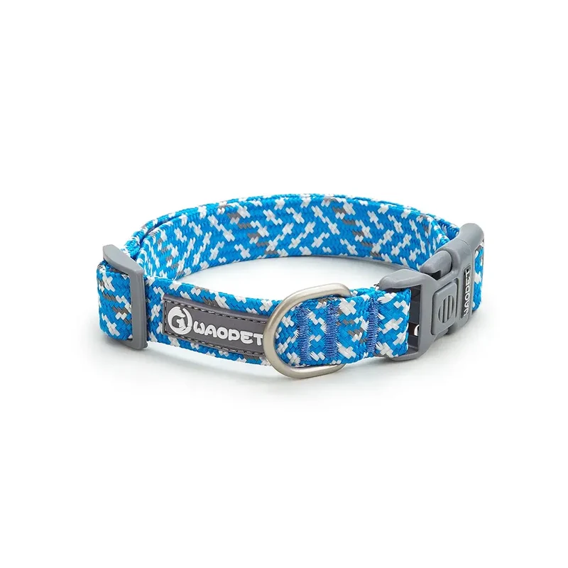 Collier chiot staffie