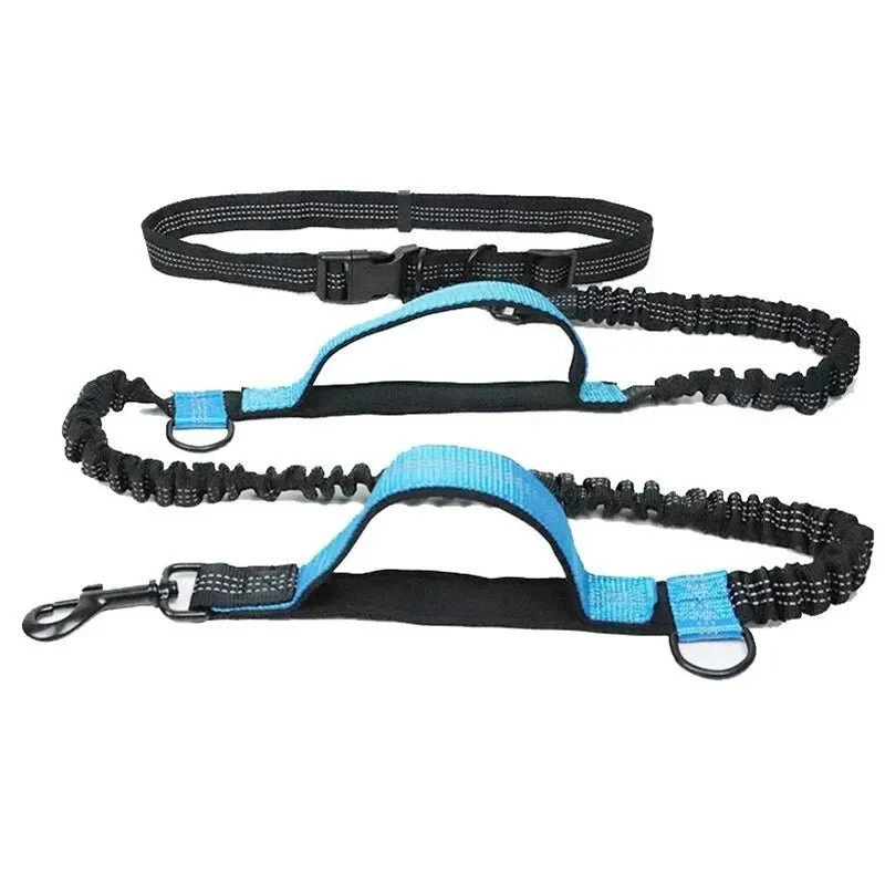 Laisse anti traction pour chien
