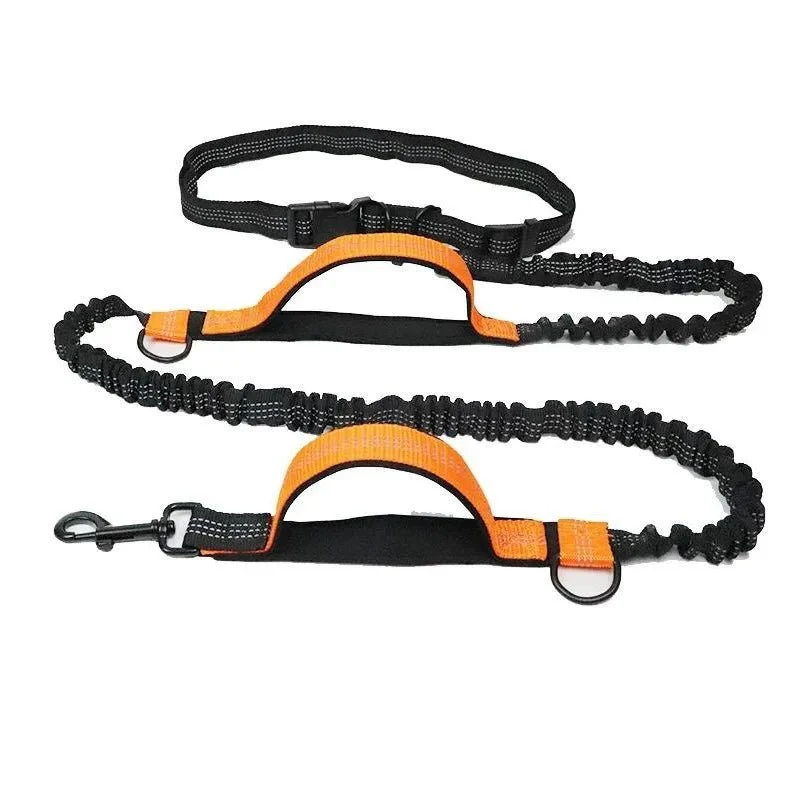 Laisse anti traction pour chien