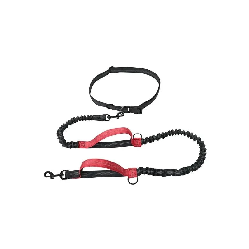 Laisse anti traction pour chien