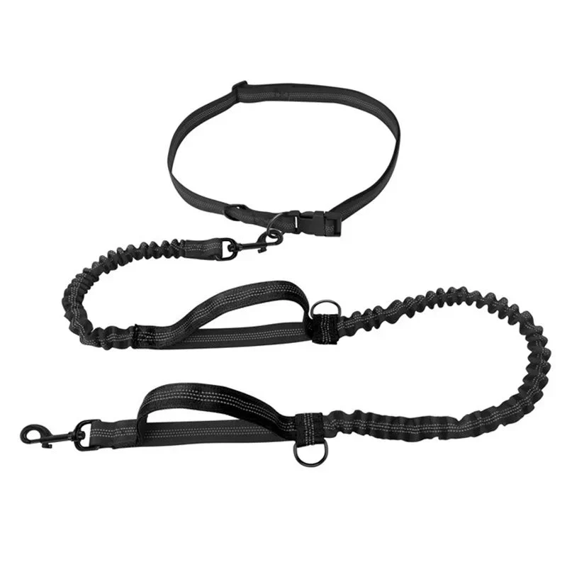 Laisse anti traction pour chien