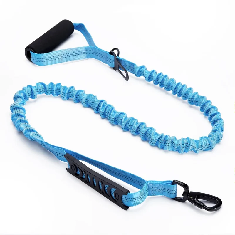 Laisse pour chien rétractable