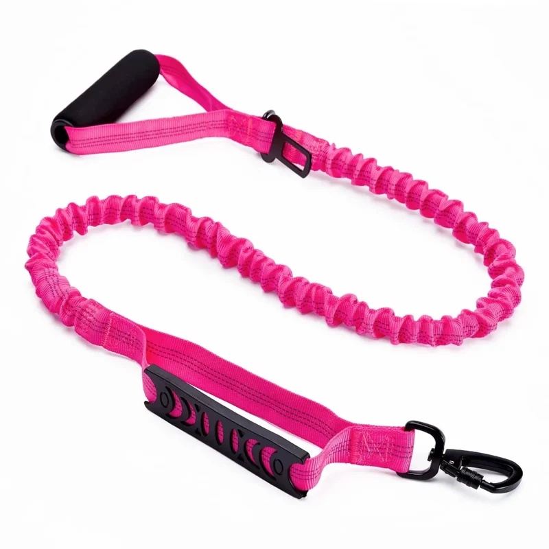 Laisse pour chien rétractable