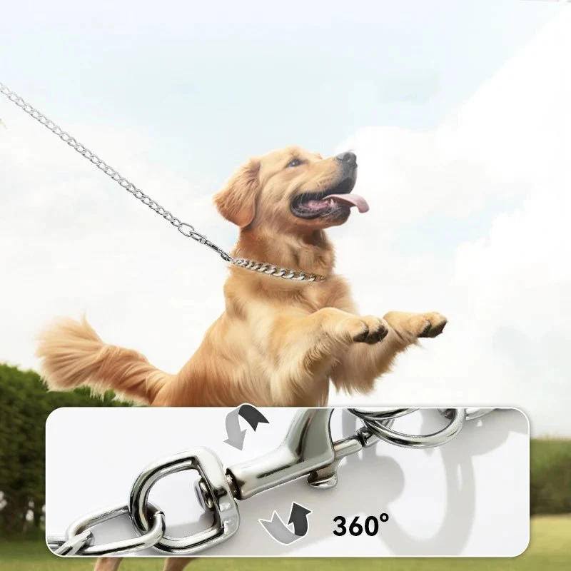 Laisse en metal pour chien