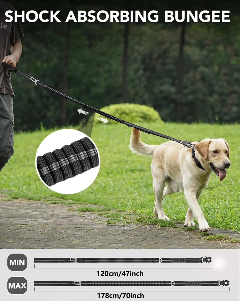 Laisse amortisseur pour gros chien