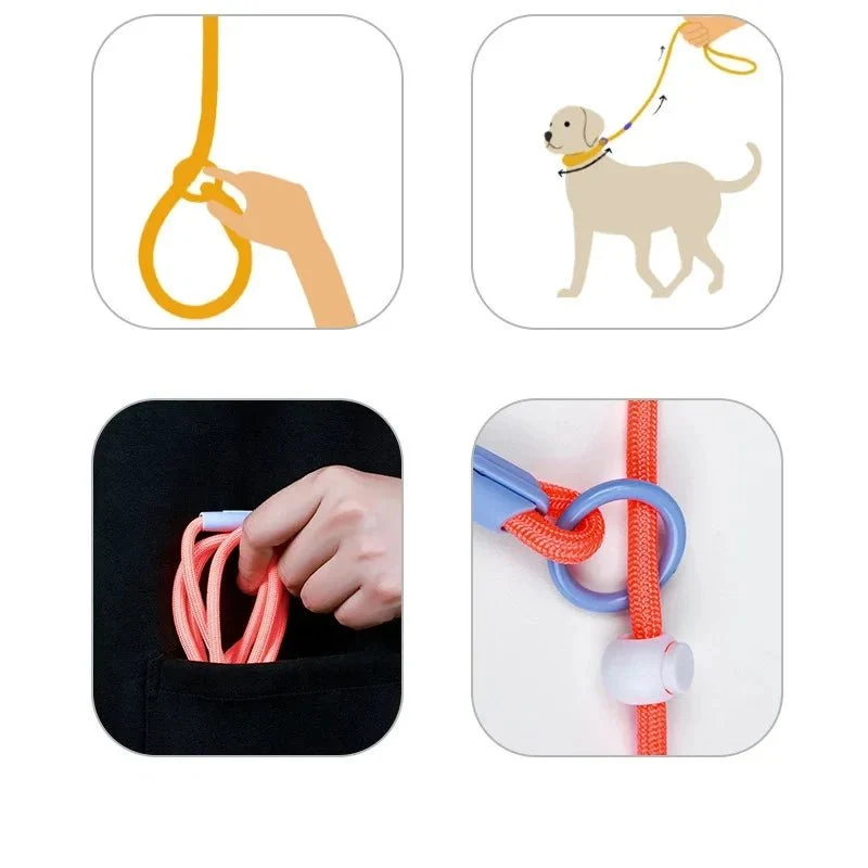 Laisse éducative pour chien