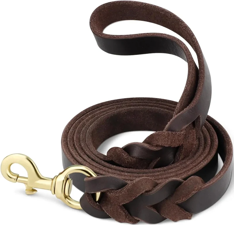 Laisse en cuir pour gros chien