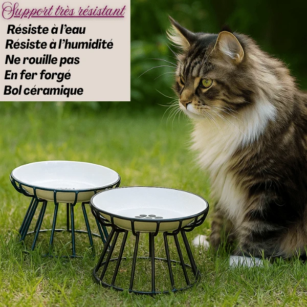 Gamelle chat surélevée céramique - Trône Gourmet™ : digestion assurée