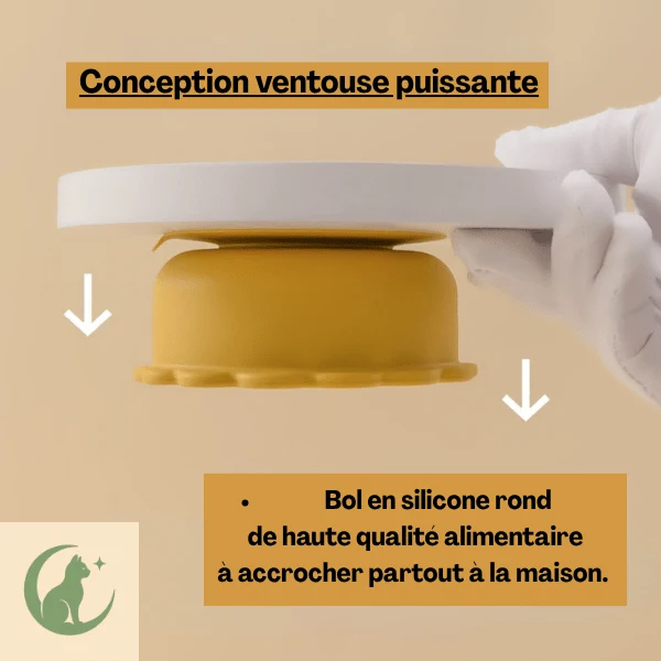 Bol chaton - SikBowl™ : silicone stable