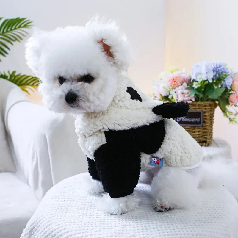 Déguisement panda pour petit chien