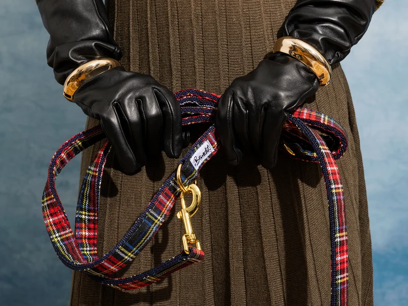 Laisse pour chien tartan