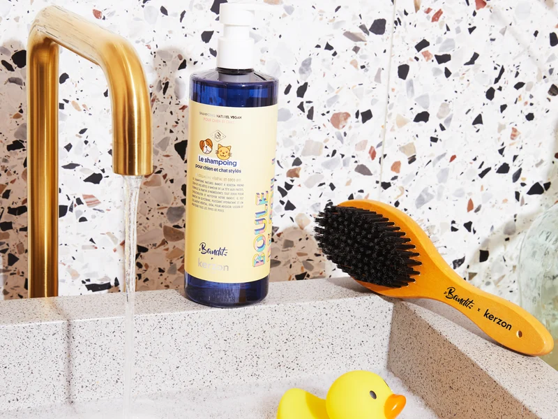 La brosse pour chien et chat