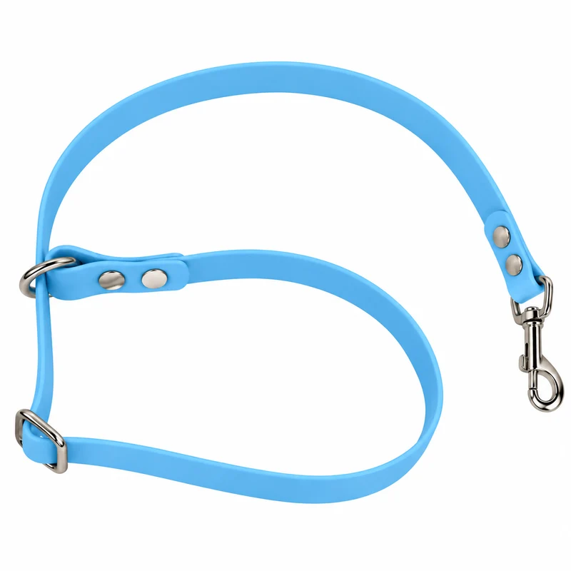 Collier de maintien réglable en Biothane - Pour table de toilettage, cran d’arrêt 16 mm
