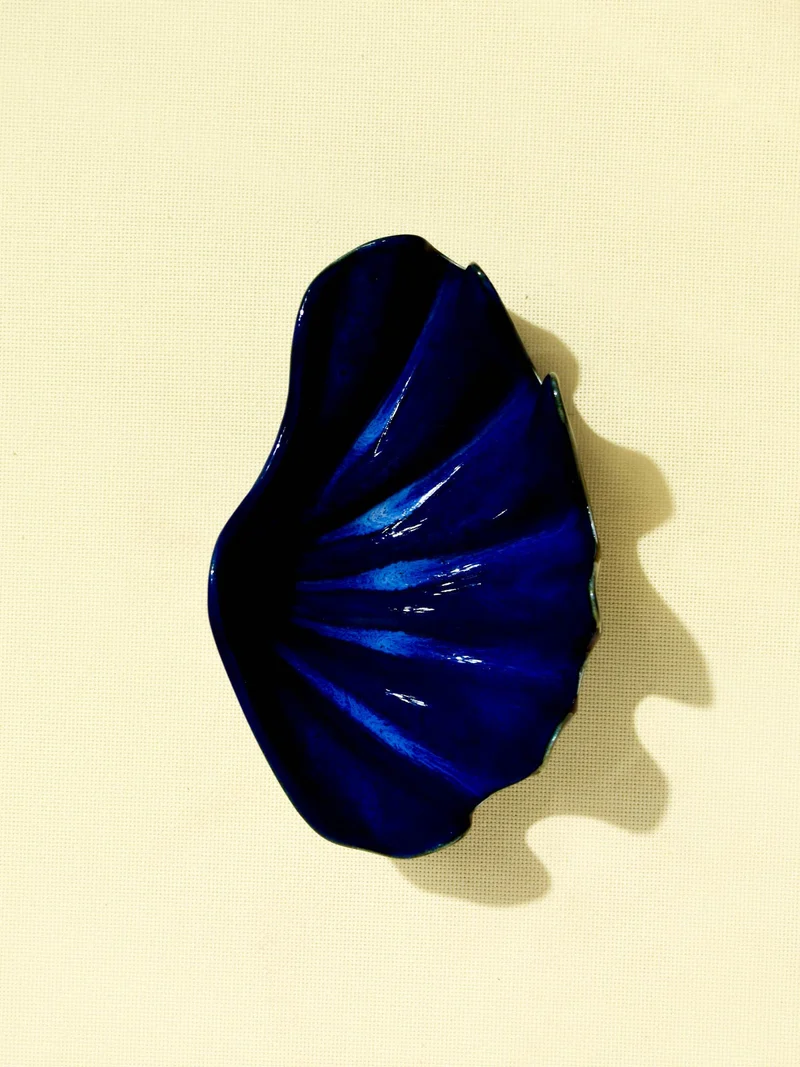 Coquillage Comporta | Bleu oceano