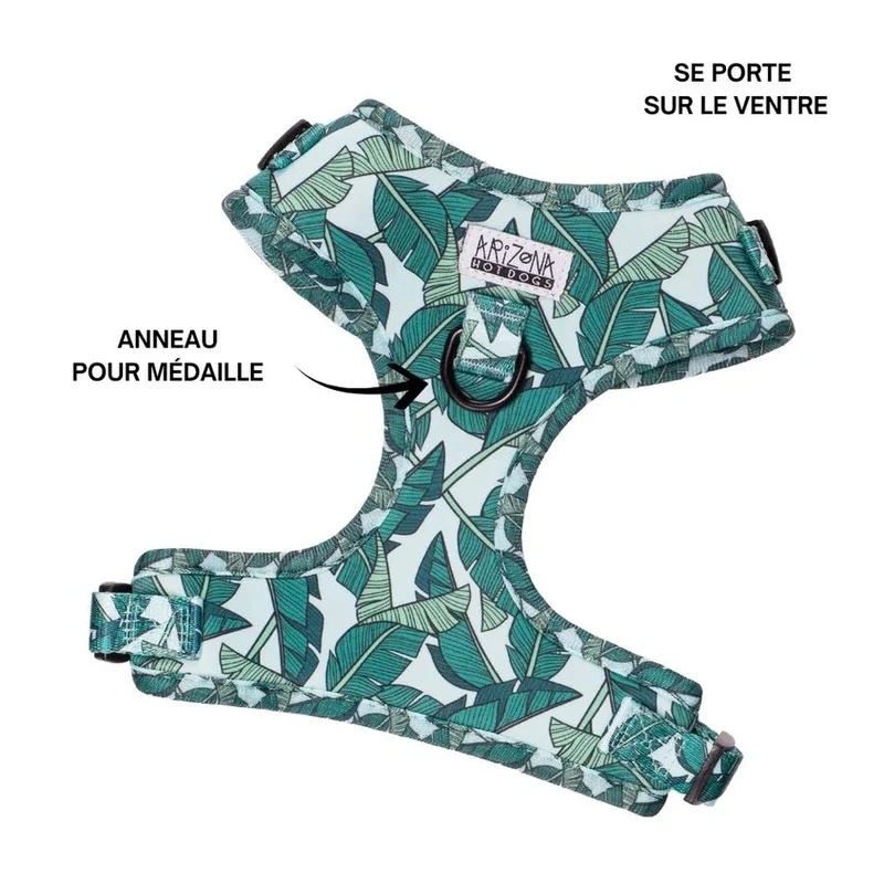 Harnais chien en H réglable Amazonia turquoise – esprit jungle