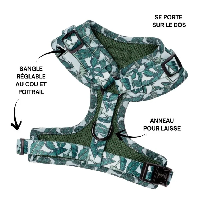 Harnais chien en H réglable Amazonia turquoise – esprit jungle