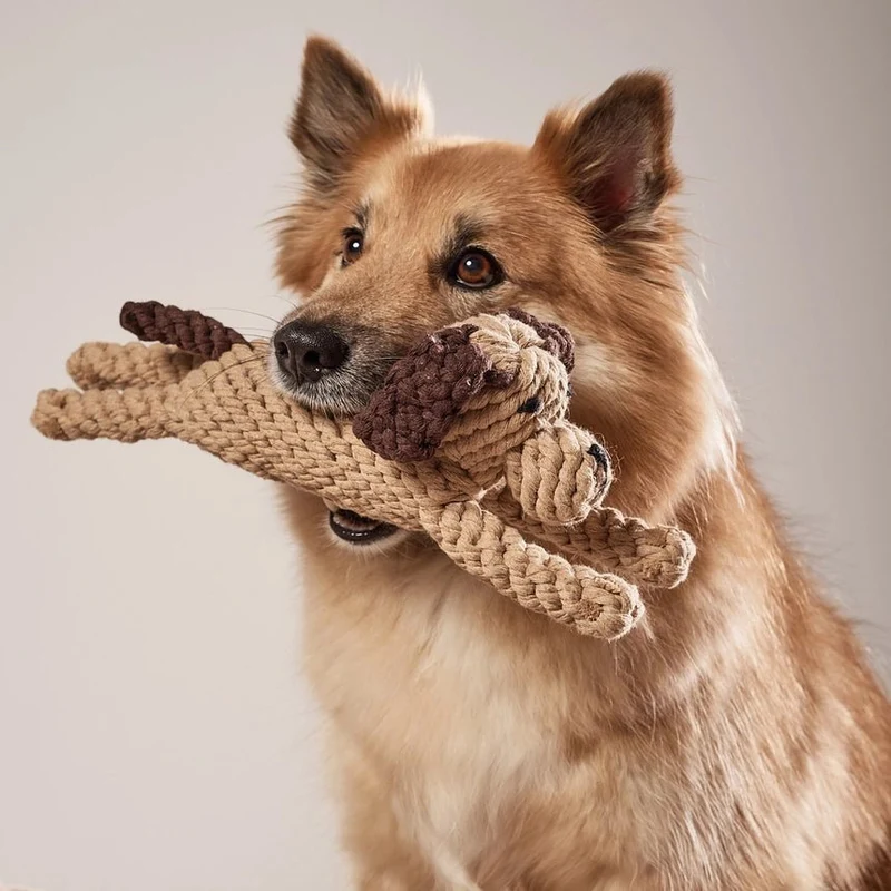 Jouet corde chien XXL Doggy Dog