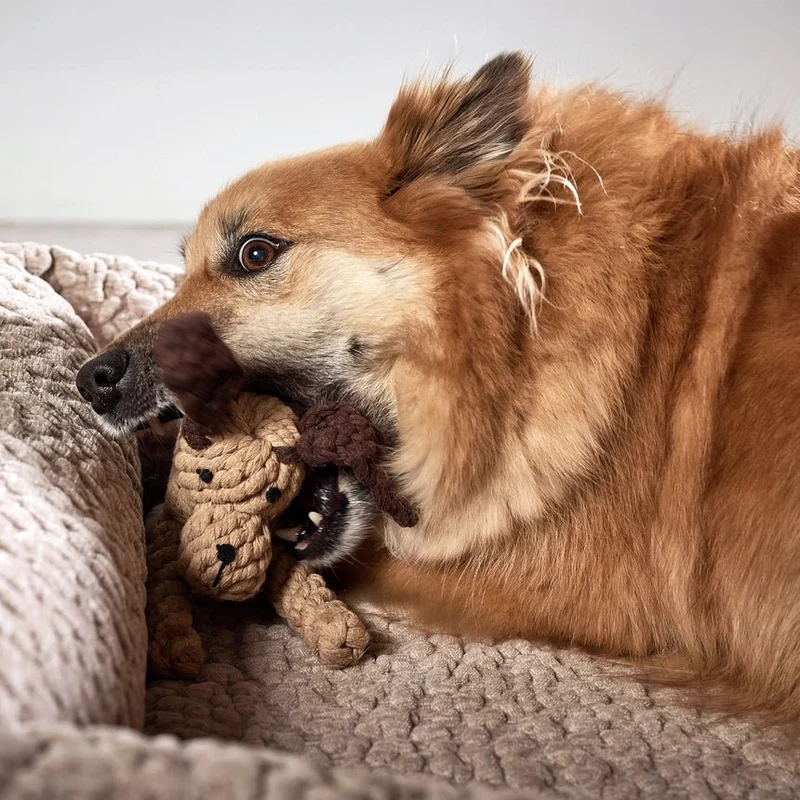 Jouet corde chien XXL Doggy Dog