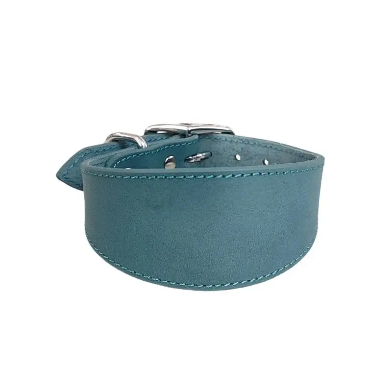 Collier chiot whippet