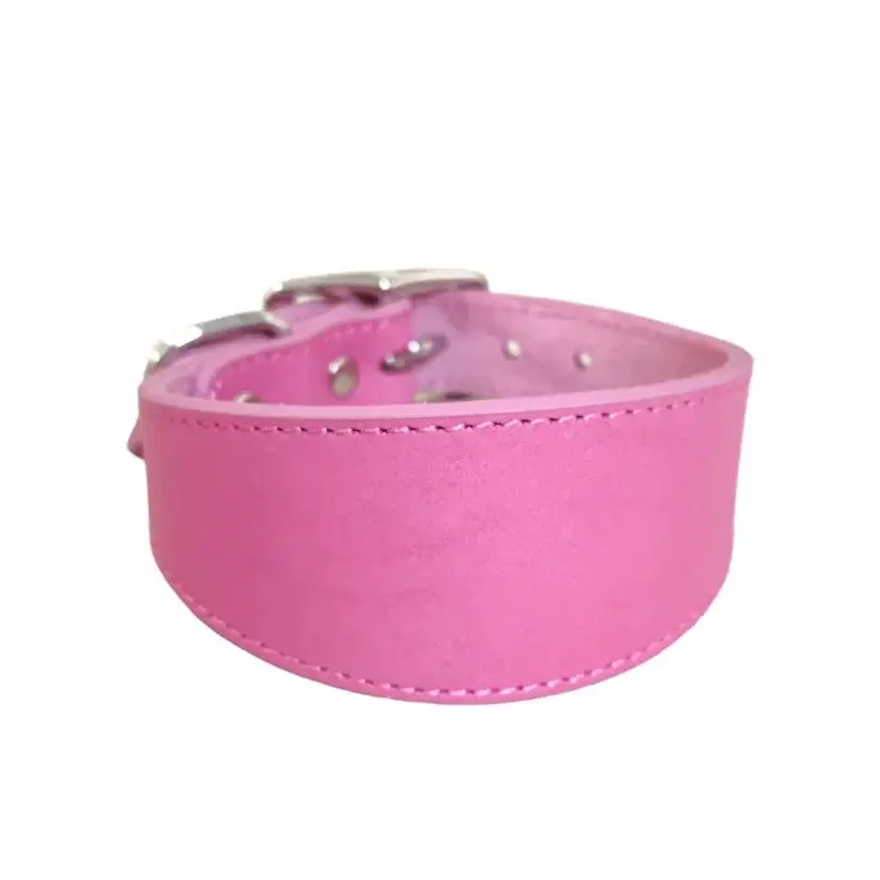 Collier chiot whippet