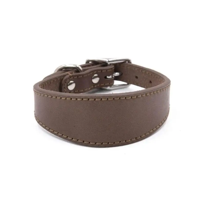 Collier chiot whippet