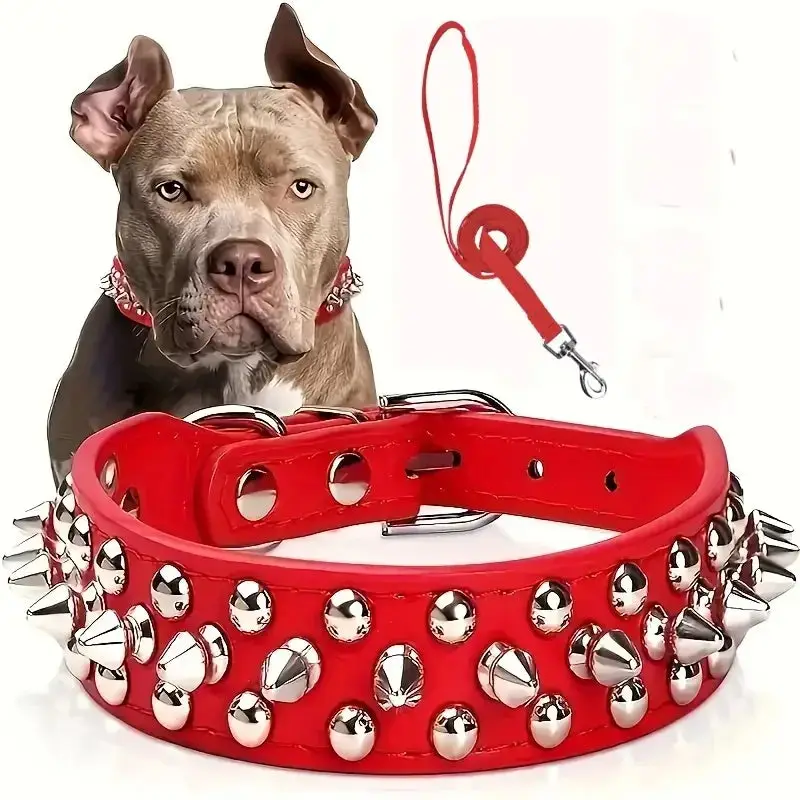 Collier cuir à pique pour chien