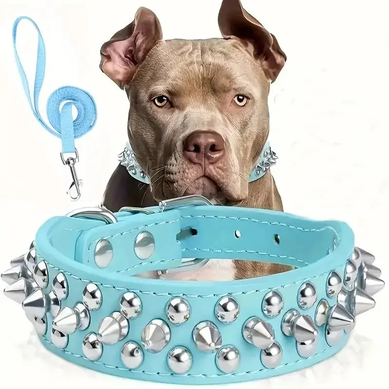 Collier cuir à pique pour chien