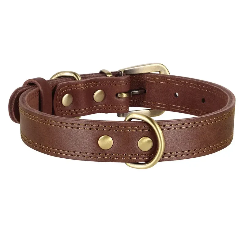 Collier cuir pour chien