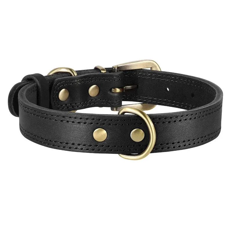 Collier cuir pour chien