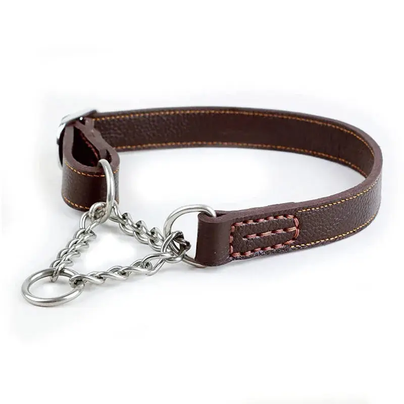 Collier d'entraînement anti-fugue pour chien
