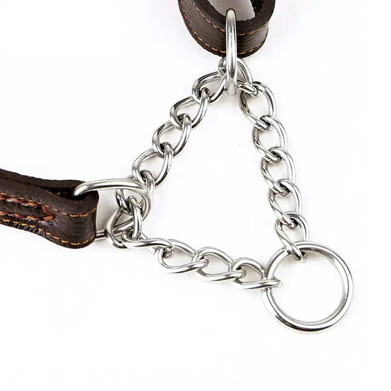 Collier d'entraînement anti-fugue pour chien