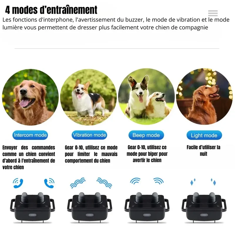 Collier d'entraînement anti-aboiement pour chien