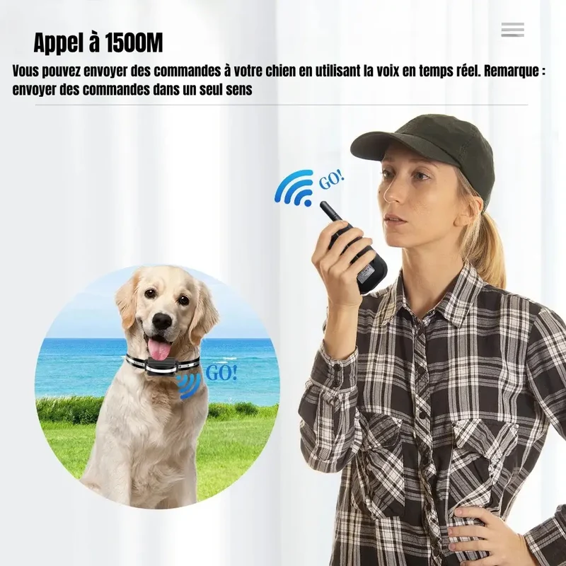 Collier d'entraînement anti-aboiement pour chien