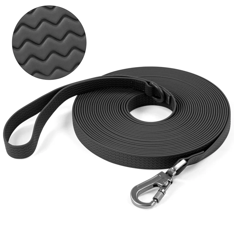 Laisse pour chien 10m