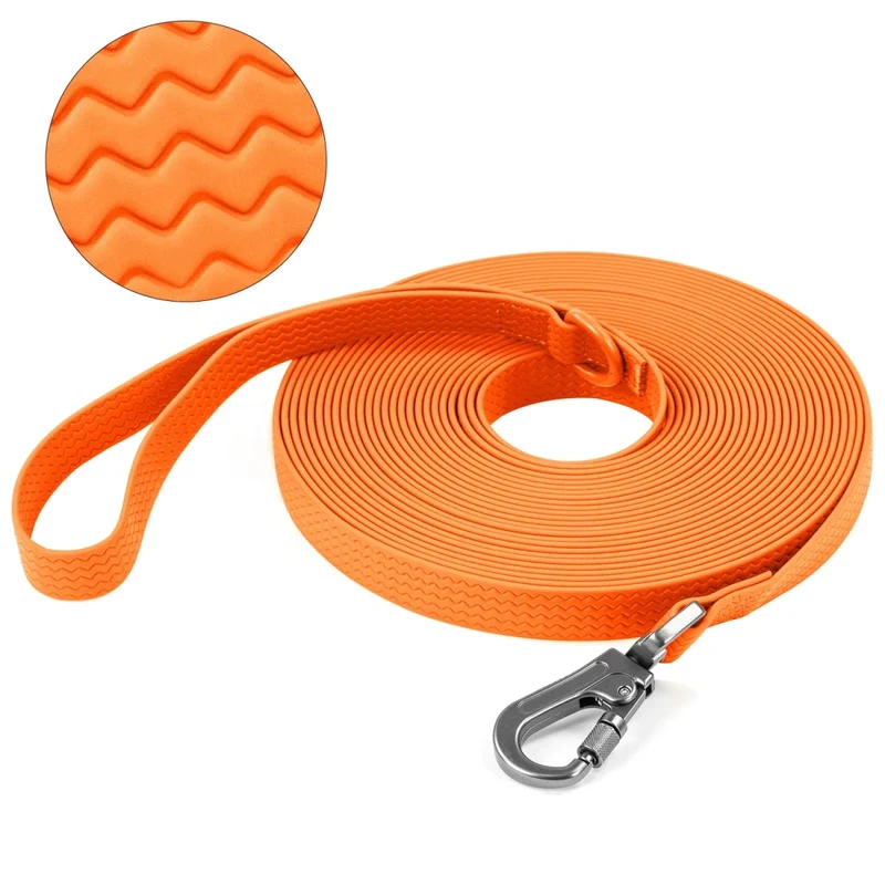 Laisse pour chien 10m