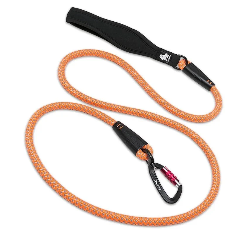 Laisse pour chien de chasse