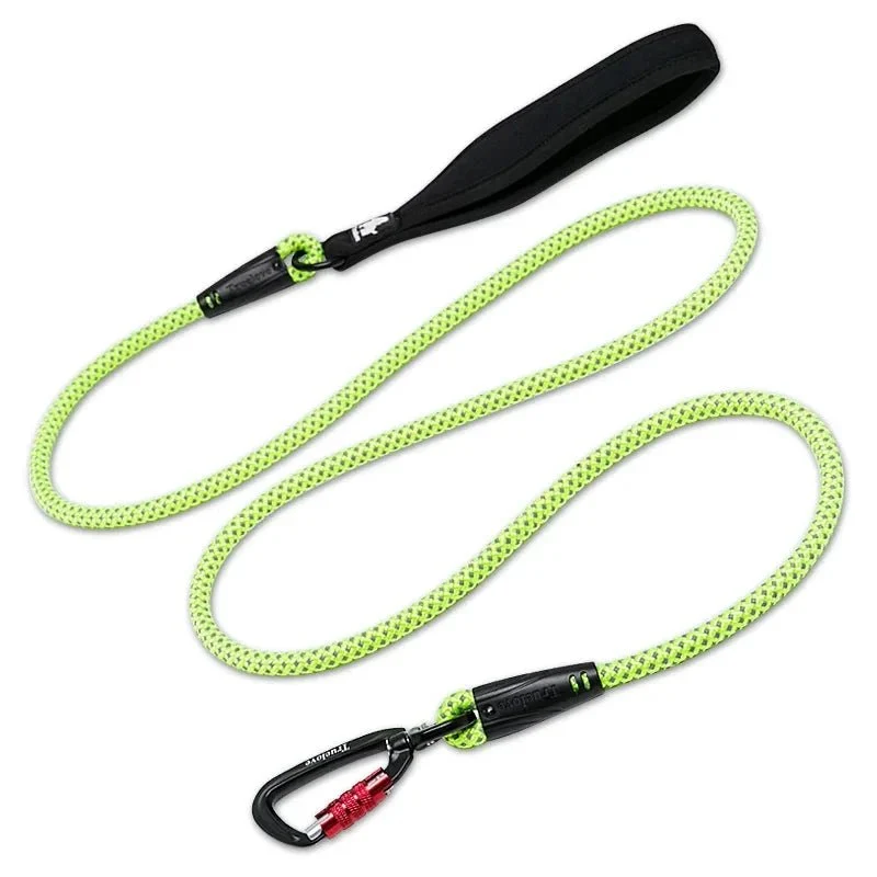 Laisse pour chien de chasse