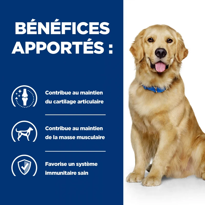 Hill's Prescription Diet j/d Mobility en boîtes au poulet – pâtée chien