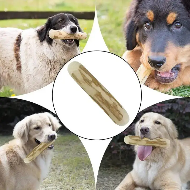 Faux bâton pour chiot